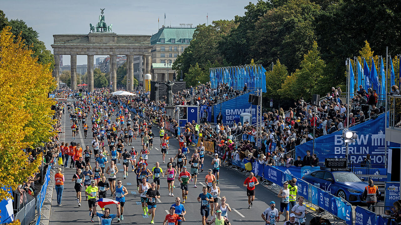 Berlin Marathon 2024 Results Fred Pamela